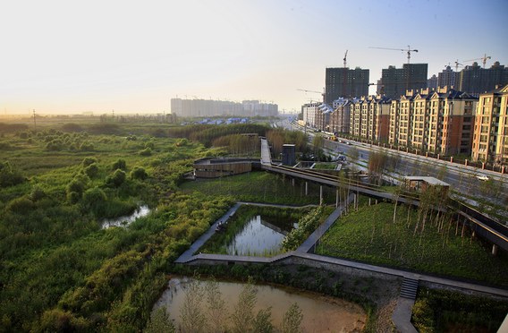 Zumtobel Group award nominees in focus: Qunli Stormwater Park Zumtobel Group award nominees in focus: Qunli Stormwater Park